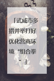 武威市多措并举打好优化营商环境“组合拳”