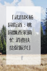 武昌区杨园街道：桃园飘香采摘忙 消费扶贫促振兴