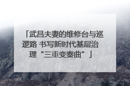 武昌夫妻的维修台与巡逻路 书写新时代基层治理“三重变奏曲”