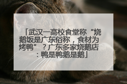 武汉一高校食堂称“烧鹅饭是广东俗称，食材为烤鸭”？广东多家烧鹅店：鸭是鸭鹅是鹅