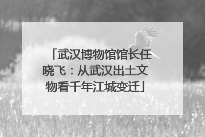 武汉博物馆馆长任晓飞：从武汉出土文物看千年江城变迁