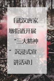 武汉唐家墩街道开展“三大精神”沉浸式宣讲活动