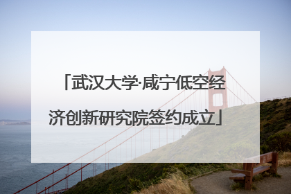 武汉大学·咸宁低空经济创新研究院签约成立