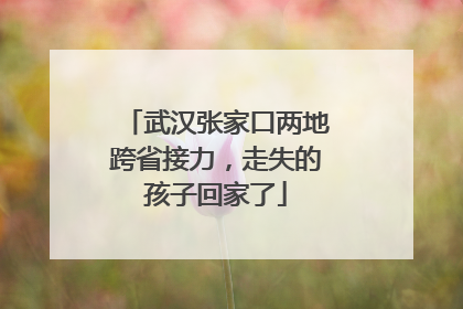 武汉张家口两地跨省接力，走失的孩子回家了