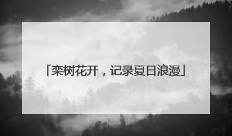 栾树花开，记录夏日浪漫