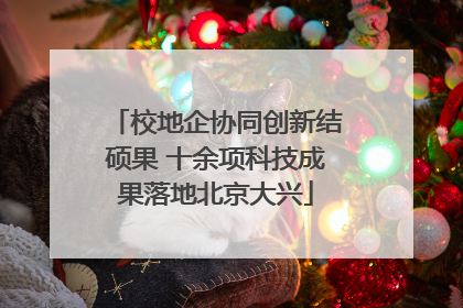 校地企协同创新结硕果 十余项科技成果落地北京大兴