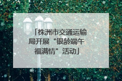 株洲市交通运输局开展“银龄端午福满情”活动