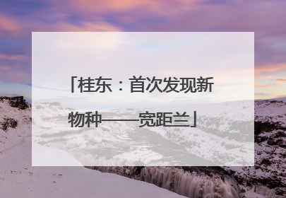 桂东：首次发现新物种——宽距兰
