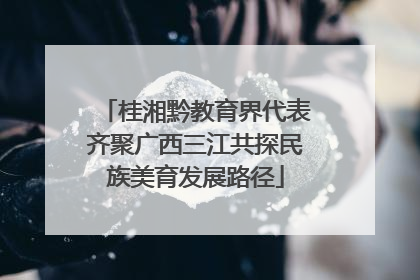 桂湘黔教育界代表齐聚广西三江共探民族美育发展路径