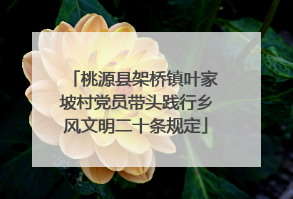 桃源县架桥镇叶家坡村党员带头践行乡风文明二十条规定