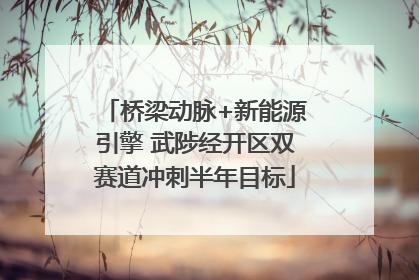 桥梁动脉+新能源引擎 武陟经开区双赛道冲刺半年目标