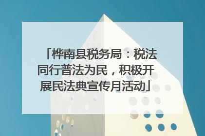 桦南县税务局：税法同行普法为民，积极开展民法典宣传月活动