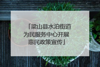 梁山县水泊街道为民服务中心开展惠民政策宣传