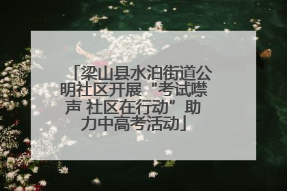 梁山县水泊街道公明社区开展“考试噤声 社区在行动”助力中高考活动