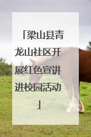 梁山县青龙山社区开展红色宣讲进校园活动
