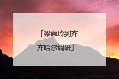 梁惠玲到齐齐哈尔调研