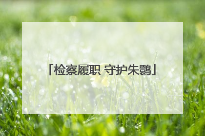 检察履职 守护朱鹮