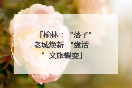 榆林：“落子”老城焕新 “盘活”文旅蝶变