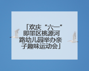 欢庆“六一” 即墨区桃源河路幼儿园举办亲子趣味运动会