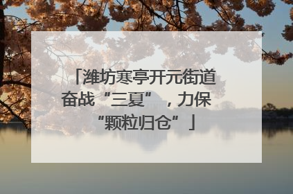 潍坊寒亭开元街道奋战“三夏”，力保“颗粒归仓”