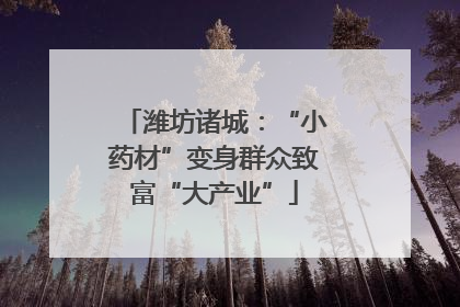 潍坊诸城：“小药材”变身群众致富“大产业”