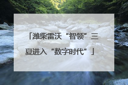 潍柴雷沃“智领”三夏进入“数字时代”
