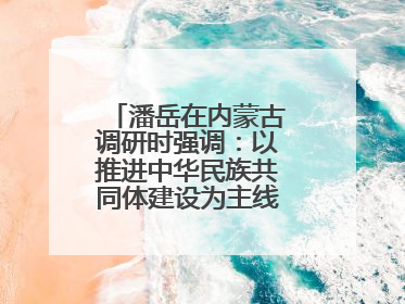 潘岳在内蒙古调研时强调：以推进中华民族共同体建设为主线推动边疆民族地区高质量发展