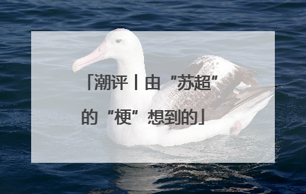 潮评丨由“苏超”的“梗”想到的
