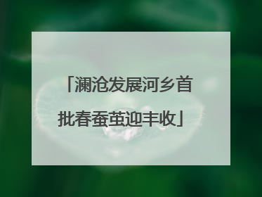 澜沧发展河乡首批春蚕茧迎丰收