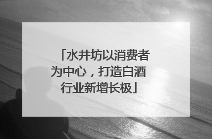 水井坊以消费者为中心，打造白酒行业新增长极
