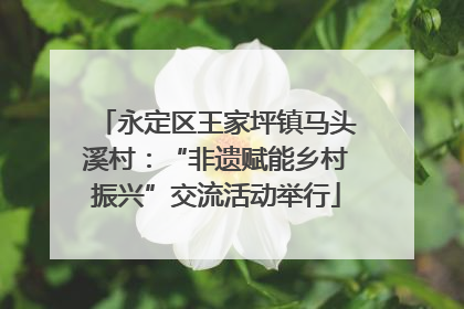 永定区王家坪镇马头溪村：“非遗赋能乡村振兴”交流活动举行