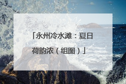 永州冷水滩：夏日荷韵浓（组图）