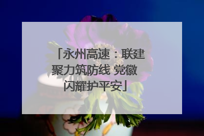 永州高速：联建聚力筑防线 党徽闪耀护平安