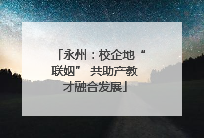 永州：校企地“联姻” 共助产教才融合发展