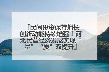 民间投资保持增长 创新动能持续增强！河北民营经济发展实现“量”“质”双提升