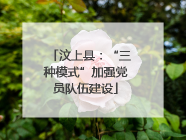汶上县：“三种模式”加强党员队伍建设