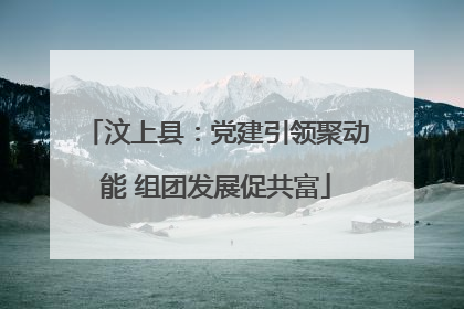 汶上县：党建引领聚动能 组团发展促共富