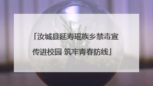 汝城县延寿瑶族乡禁毒宣传进校园 筑牢青春防线