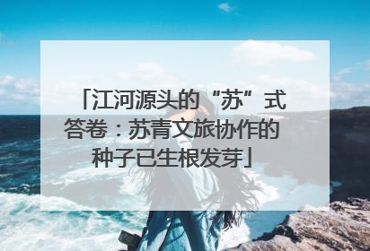 江河源头的“苏”式答卷：苏青文旅协作的种子已生根发芽