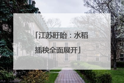 江苏盱眙：水稻插秧全面展开