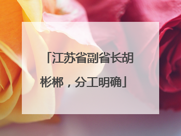 江苏省副省长胡彬郴，分工明确