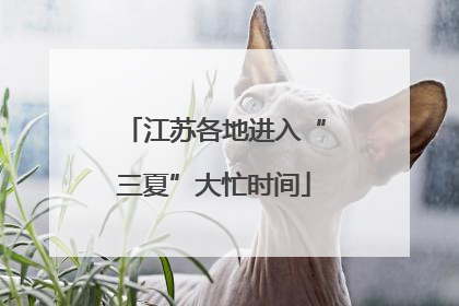 江苏各地进入“三夏”大忙时间