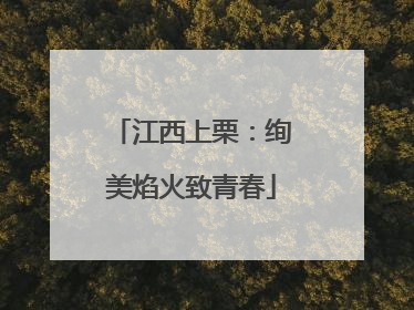 江西上栗：绚美焰火致青春