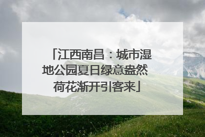 江西南昌：城市湿地公园夏日绿意盎然 荷花渐开引客来
