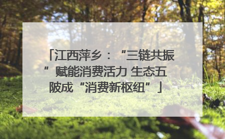 江西萍乡：“三链共振”赋能消费活力 生态五陂成“消费新枢纽”