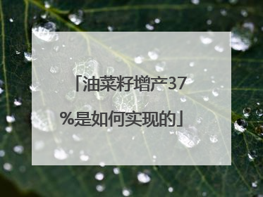 油菜籽增产37%是如何实现的