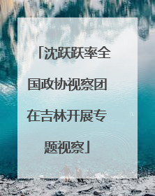 沈跃跃率全国政协视察团在吉林开展专题视察