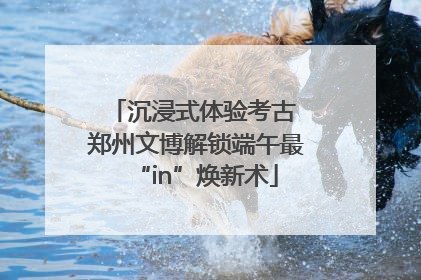 沉浸式体验考古 郑州文博解锁端午最“in”焕新术