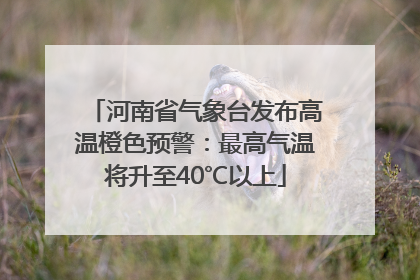 河南省气象台发布高温橙色预警：最高气温将升至40℃以上