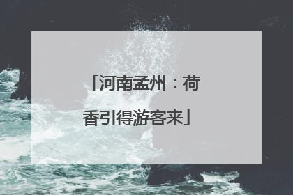 河南孟州：荷香引得游客来